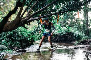 BIB: 
                            <button type="button" onclick="openModal(25398967)" class="btn btn-primary btn-sm float-right btn-popup" data-toggle="modal" data-target=".modal-high-quality">
                        <i class="fas fa-shopping-cart"></i> Add to Cart
                    </button>
                                            <button type="button" onclick="isThisMe(25398967, true)" class="btn btn-success btn-sm float-right btn-popup btn-isme hidden" data-toggle="tooltip" data-placement="bottom" title="นี่คือรูปของคุณใช่ไหม คลิกที่นี่เพื่อเอาเข้าอัลบั้ม">
                        <i class="fas fa-plus"></i> Add to album
                    </button>
                    <button type="button" onclick="isThisMe(25398967, false)" class="btn btn-warning btn-sm float-right btn-popup btn-isnotme hidden">
                        <i class="fas fa-ban"></i> Remove from album
                    </button>